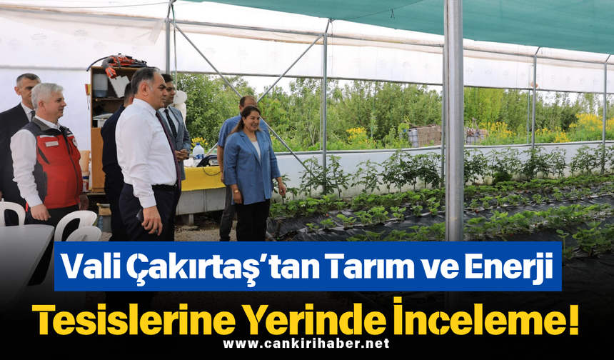 Vali Çakırtaş’tan Tarım ve Enerji Tesislerine Yerinde İnceleme!