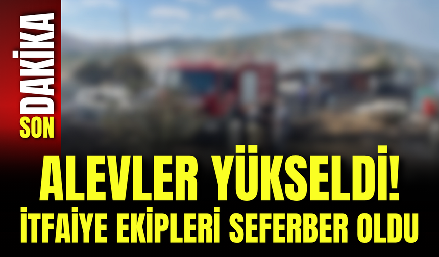 Alevler Yükseldi! İtfaiye Ekipleri Seferber Oldu