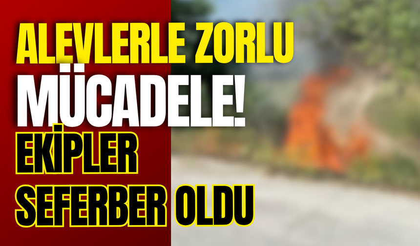 Alevlerle Zorlu Mücadele! Ekipler Seferber Oldu