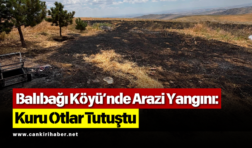 Balıbağı Köyü’nde Arazi Yangını: Kuru Otlar Tutuştu