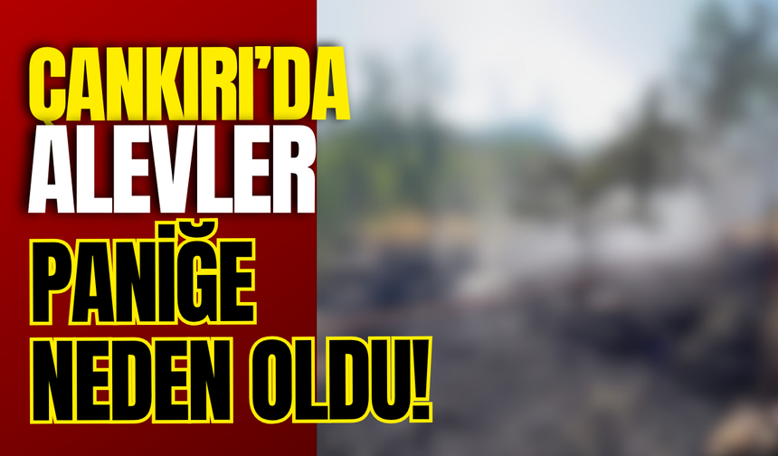 Çankırı’da Alevler Paniğe Neden Oldu!