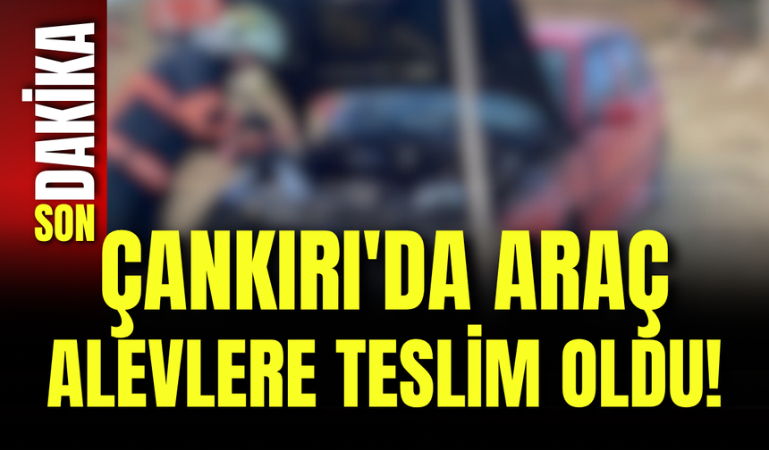 Çankırı'da Araç Alevlere Teslim Oldu!