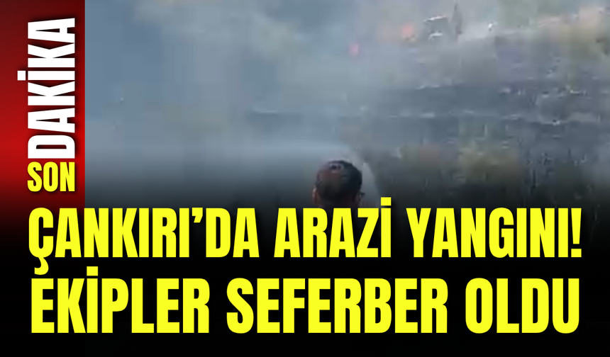 Çankırı’da Arazi Yangını! Ekipler Seferber Oldu
