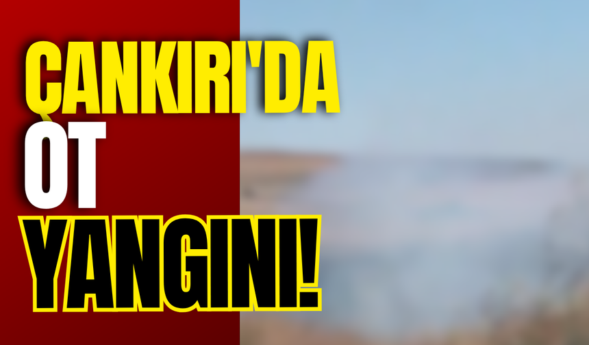 Çankırı'da Ot Yangını!