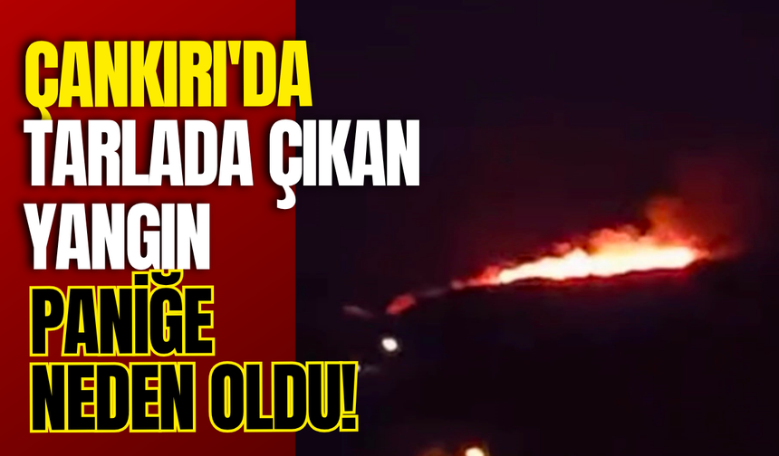 Çankırı'da Tarlada Çıkan Yangın Paniğe Neden Oldu!