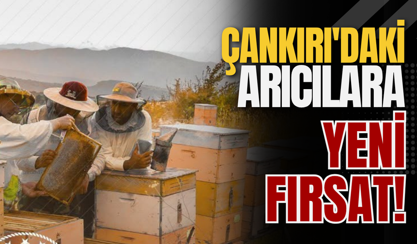 Çankırı'daki Arıcılara Yeni Fırsat!