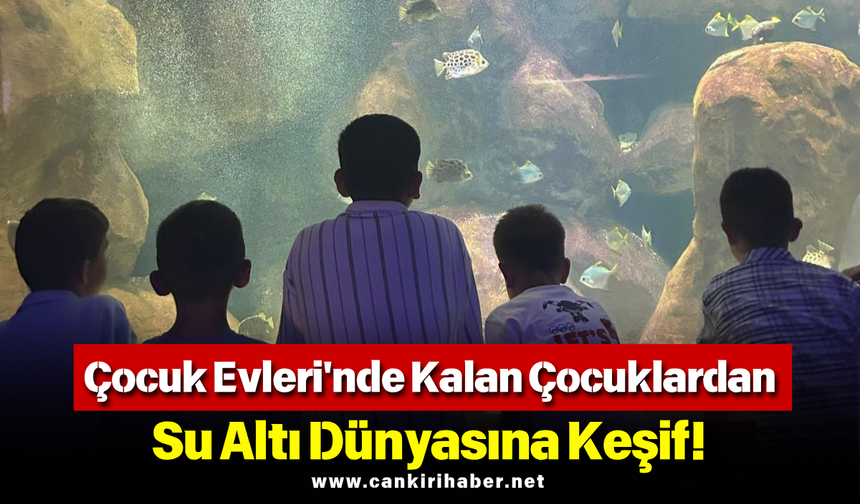 Çocuk Evleri'nde Kalan Çocuklardan Su Altı Dünyasına Keşif!