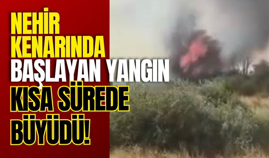 Nehir Kenarında Başlayan Yangın Kısa Sürede Büyüdü!