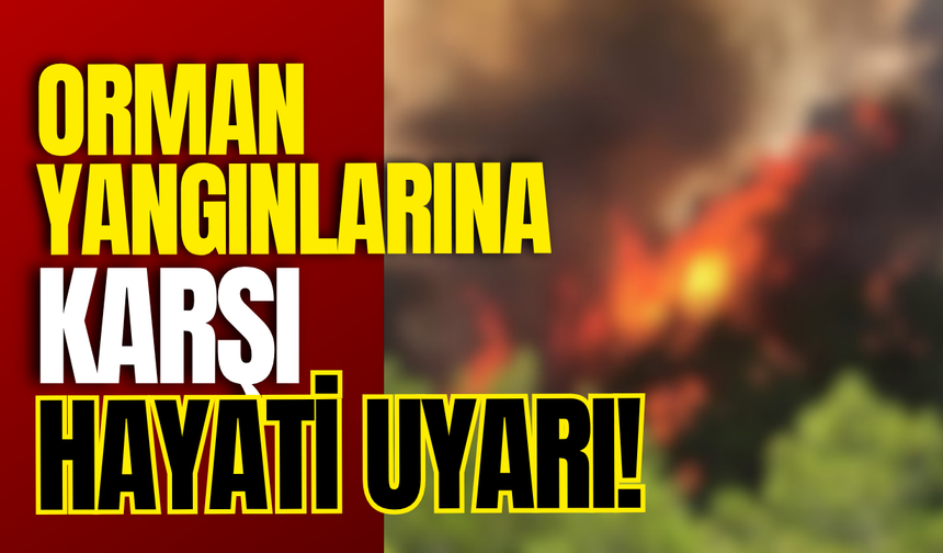 Orman Yangınlarına Karşı Hayati Uyarı!