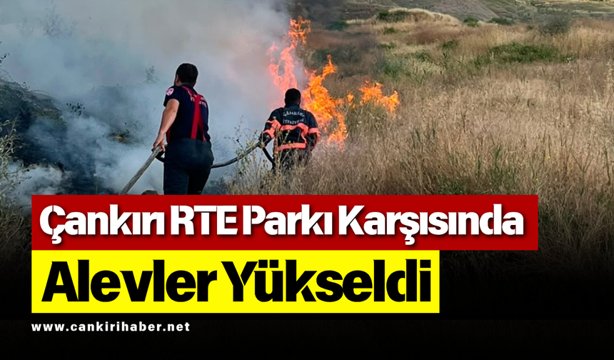 Çankırı RTE Parkı Karşısında Alevler Yükseldi