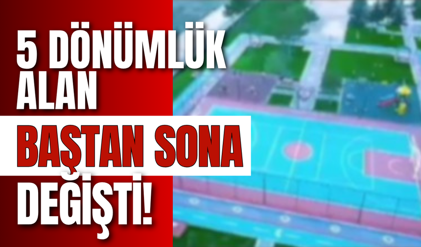 5 Dönümlük Alan Baştan Sona Değişti!