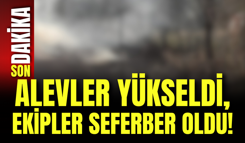 Alevler Yükseldi, Ekipler Seferber Oldu!