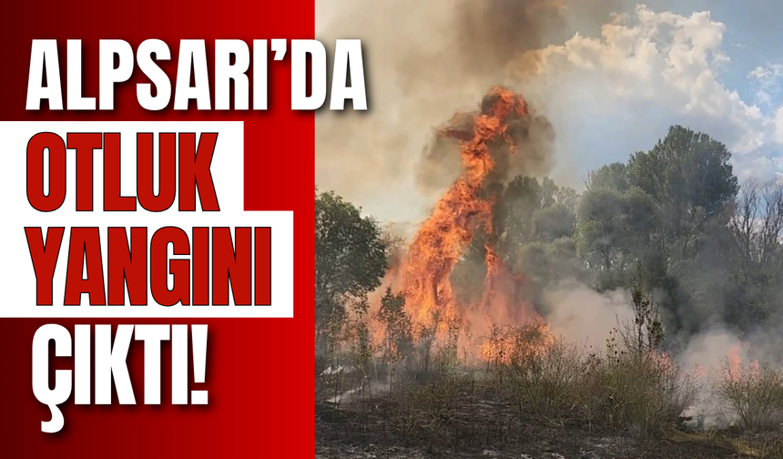 Alpsarı’da Otluk Yangını Çıktı!