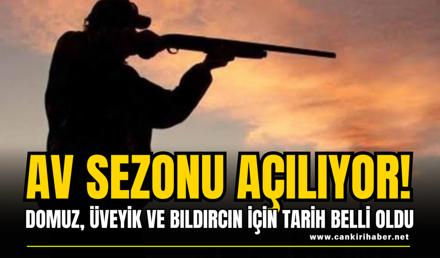 Av Sezonu Açılıyor! Domuz, Üveyik ve Bıldırcın İçin Tarih Belli Oldu