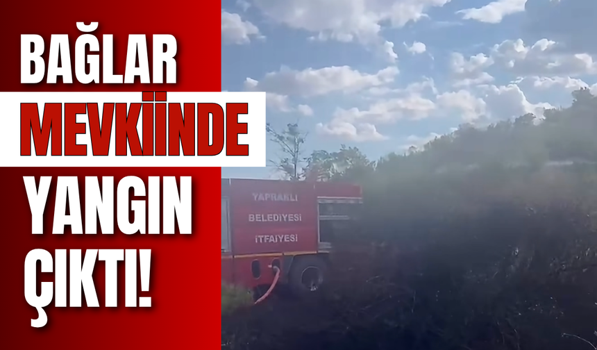Bağlar Mevkiinde Yangın Çıktı!