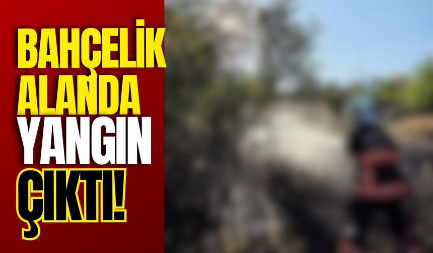 Bahçelik Alanda Yangın Çıktı!