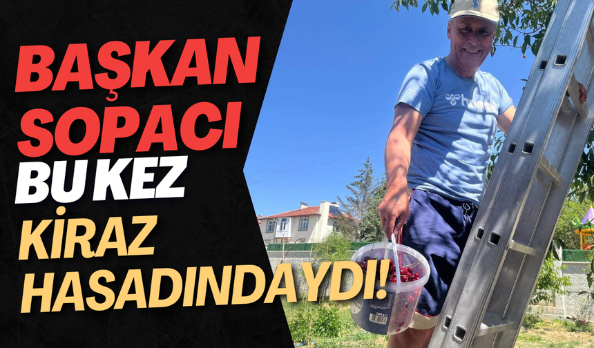 Başkan Sopacı Bu Kez Kiraz Hasadındaydı!