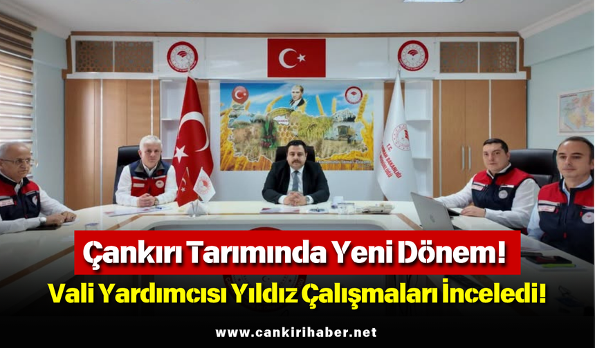 Çankırı Tarımında Yeni Dönem! Vali Yardımcısı Yıldız Çalışmaları İnceledi!