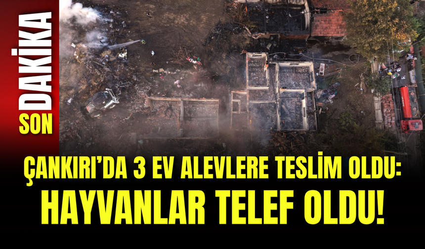 Çankırı’da 3 Ev Alevlere Teslim Oldu: Hayvanlar Telef Oldu!