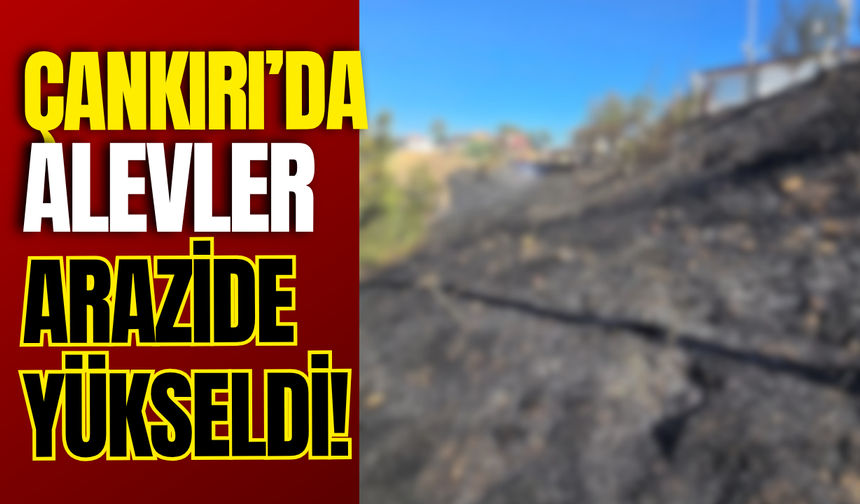 Çankırı’da Alevler Arazide Yükseldi!