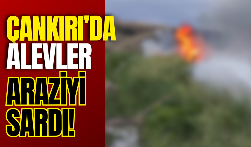 Çankırı’da Alevler Araziyi Sardı!