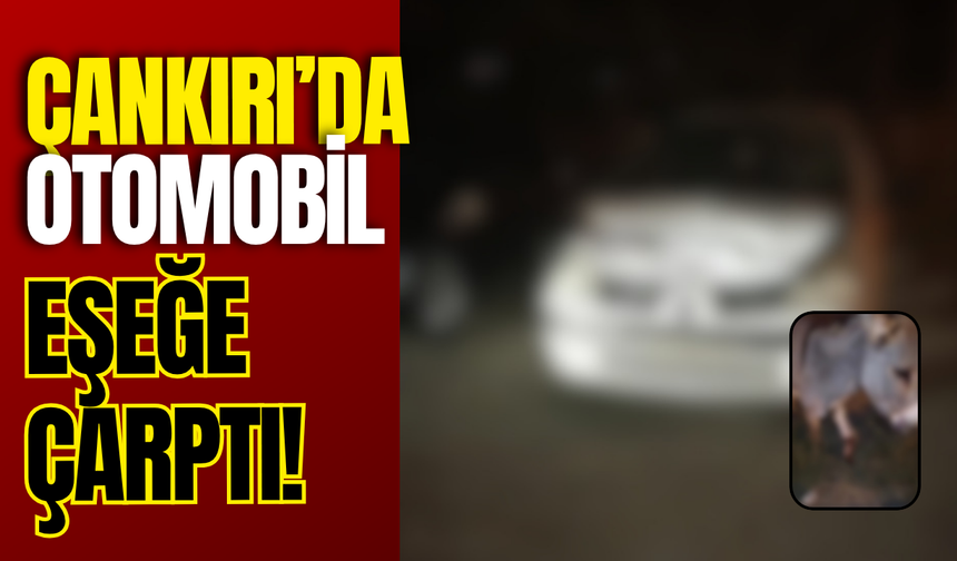 Çankırı’da Otomobil Eşeğe Çarptı!