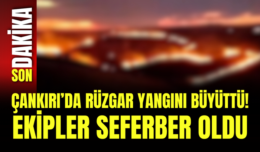 Çankırı’da Rüzgar Yangını Büyüttü! Ekipler Seferber Oldu
