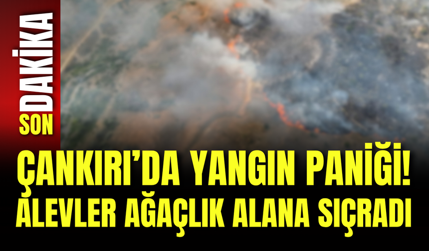 Çankırı’da Yangın Paniği! Alevler Ağaçlık Alana Sıçradı