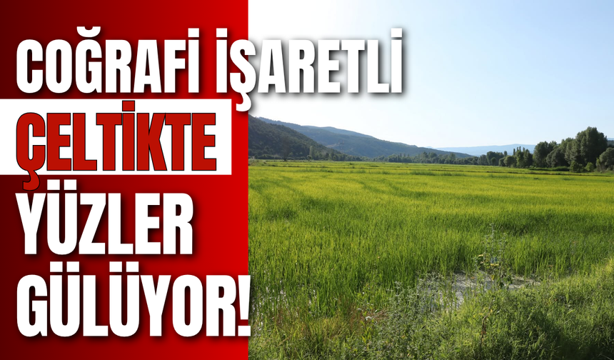 Coğrafi İşaretli Çeltikte Yüzler Gülüyor!