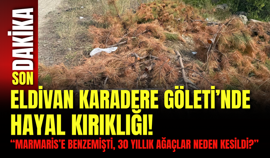 Eldivan Karadere Göleti’nde Hayal Kırıklığı! “Marmaris’e Benzemişti, 30 Yıllık Ağaçlar Neden Kesildi?”
