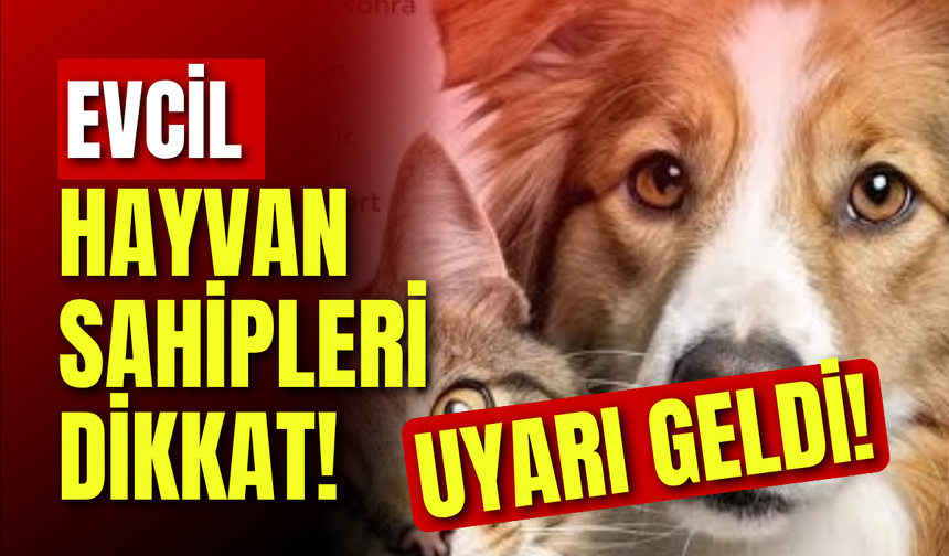 Evcil Hayvan Sahipleri Dikkat! Uyarı Geldi