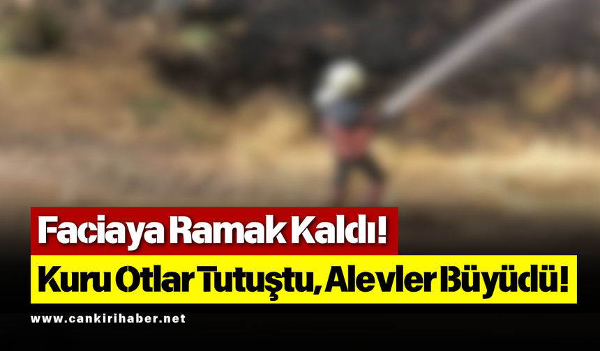 Faciaya Ramak Kaldı! Kuru Otlar Tutuştu, Alevler Büyüdü!