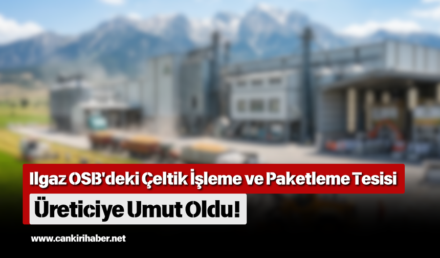 Ilgaz OSB'deki Çeltik İşleme ve Paketleme Tesisi üreticiye umut oldu!