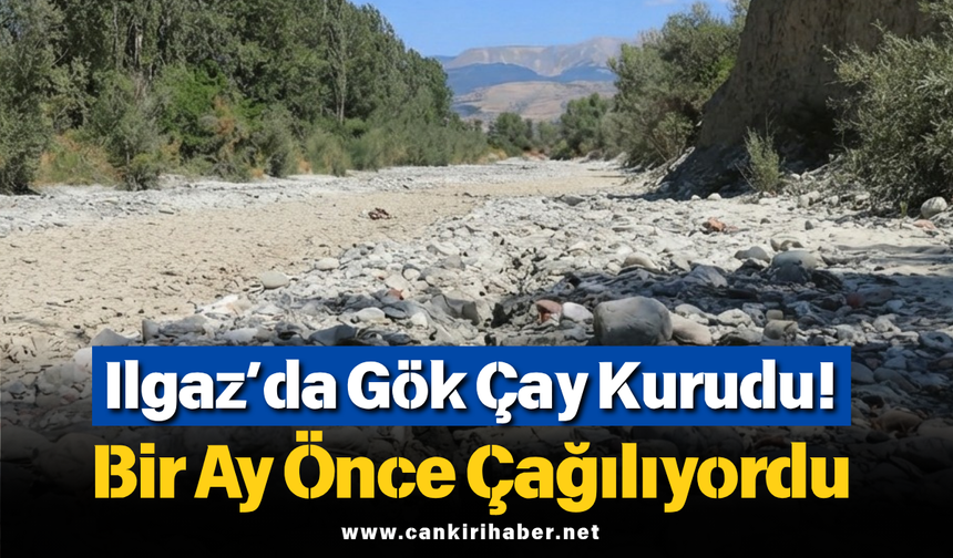 Ilgaz’da Gök Çay Kurudu! Bir Ay Önce Çağılıyordu
