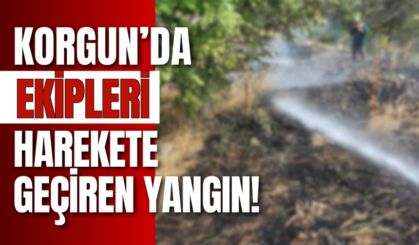 Korgun’da Ekipleri Harekete Geçiren Yangın!