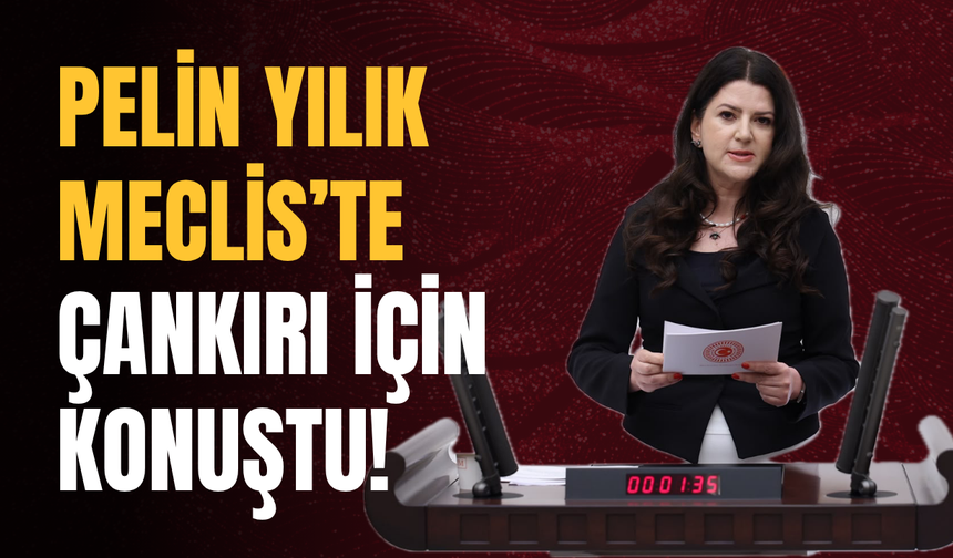 Pelin Yılık Meclis’te Çankırı İçin Konuştu!
