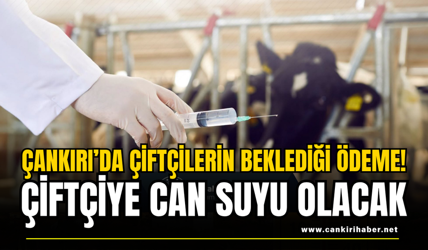 Çankırı’da Çiftçilerin Beklediği Ödeme! Çiftçiye Can Suyu Olacak