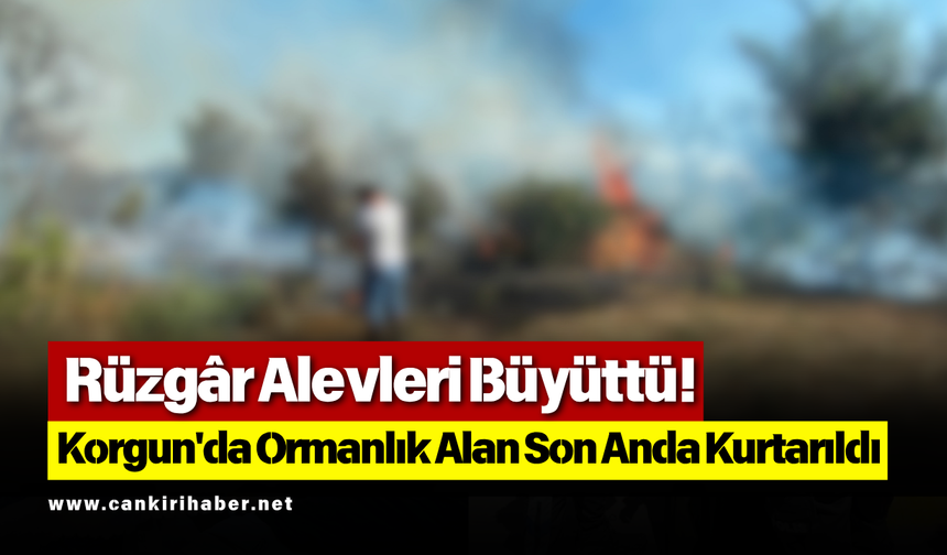 Rüzgâr Alevleri Büyüttü! Korgun'da Ormanlık Alan Son Anda Kurtarıldı