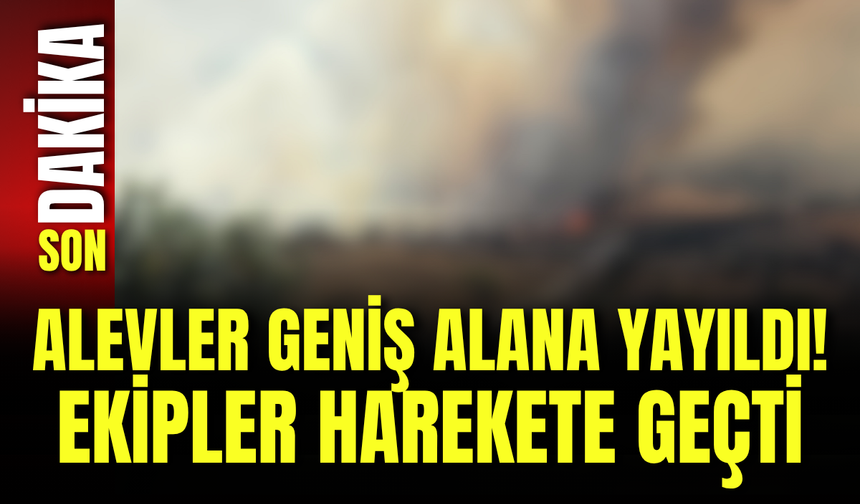 Alevler Geniş Alana Yayıldı! Ekipler Harekete Geçti