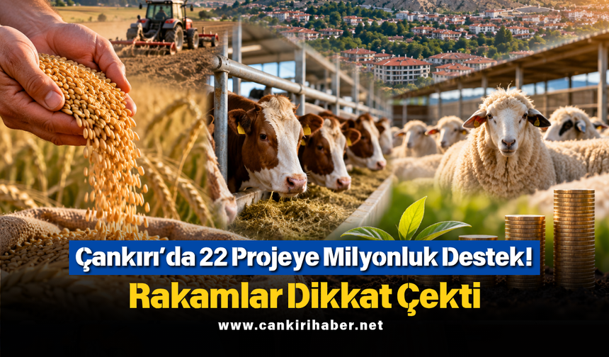 Çankırı’da 22 Projeye Milyonluk Destek! Rakamlar Dikkat Çekti