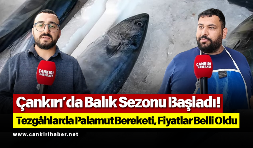 Çankırı’da Balık Sezonu Başladı! Tezgâhlarda Palamut Bereketi, Fiyatlar Belli Oldu