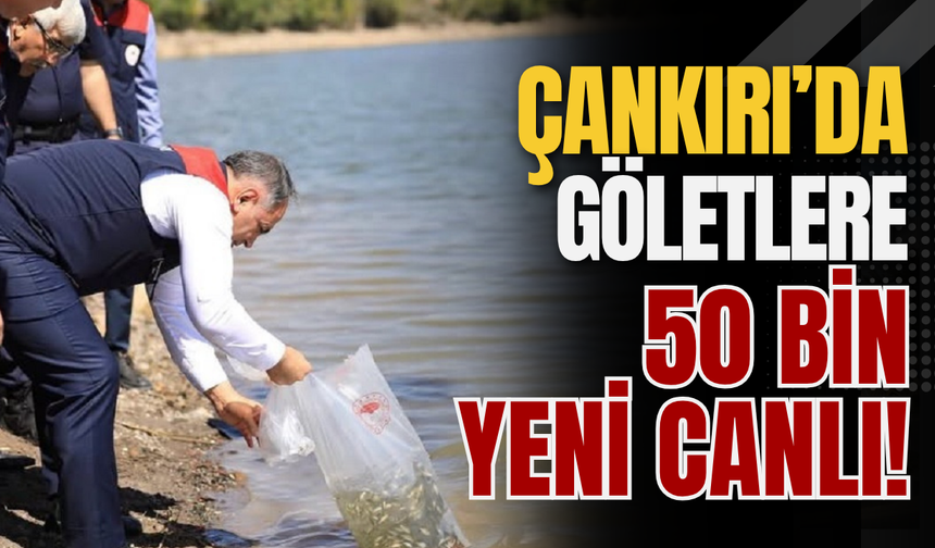 Çankırı’da Göletlere 50 Bin Yeni Canlı!
