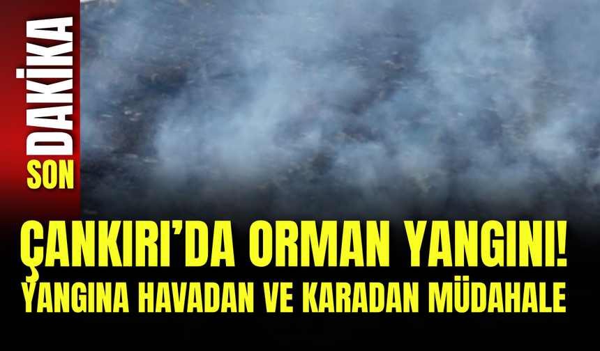 Çankırı’da Orman Yangını! Yangına Havadan ve Karadan Müdahale