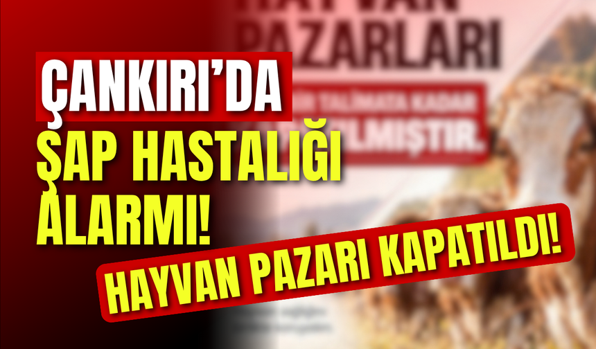 Çankırı’da Şap Hastalığı Alarmı! Hayvan Pazarı Kapatıldı