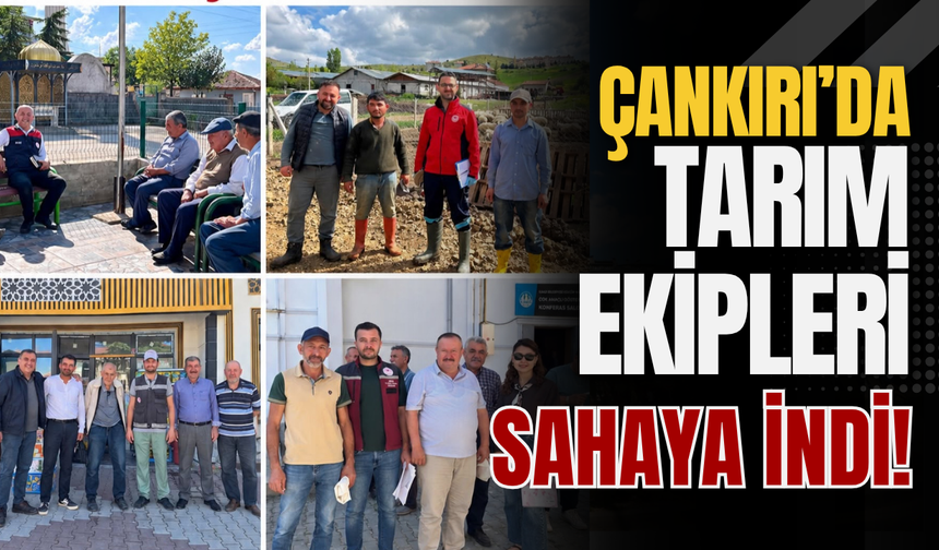 Çankırı’da Tarım Ekipleri Sahaya İndi!