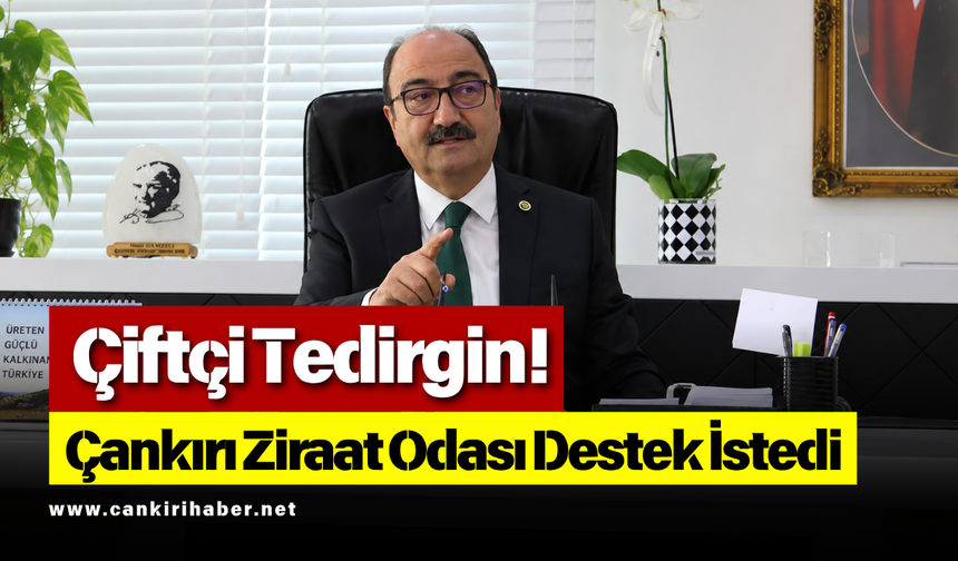 Çiftçi Tedirgin! Çankırı Ziraat Odası Destek İstedi