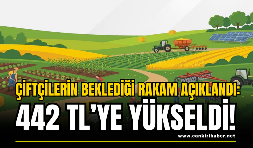 Çiftçilerin beklediği rakam açıklandı: 442 TL’ye yükseldi!