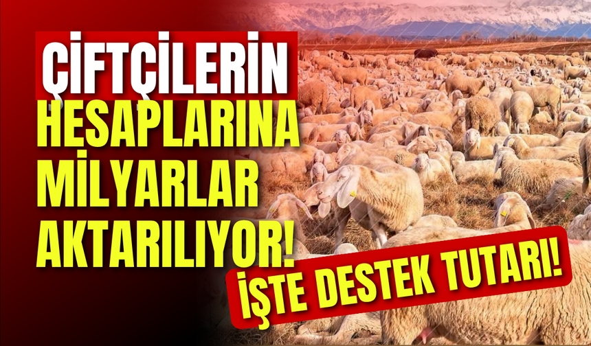 Çiftçilerin Hesaplarına Milyarlar Aktarılıyor! İşte Destek Tutarı