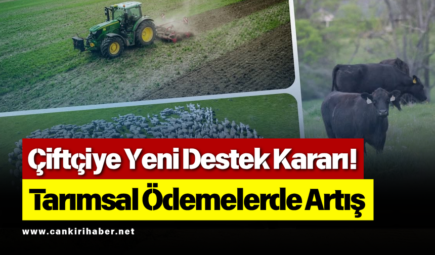 Çiftçiye Yeni Destek Kararı! Tarımsal Ödemelerde Artış