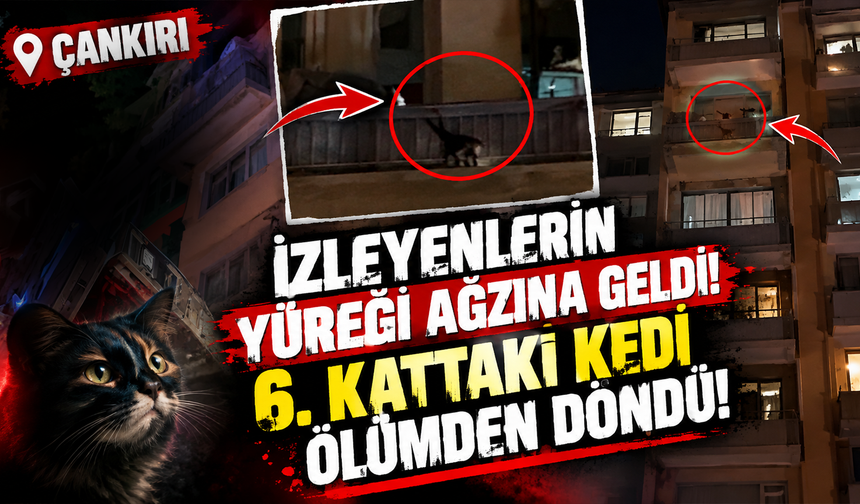 İzleyenlerin Yüreği Ağzına Geldi! 6. Kattaki Kedi Ölümden Döndü!